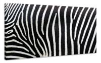 Schilderij - Zebra Strepen, zwart/wit, Premium print - thumbnail