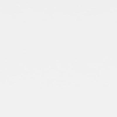 Balkonscherm 120x400 cm oxford stof wit