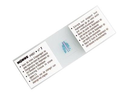 Konus preparaten set bacterie�n, simpele organismen (10 stuks)