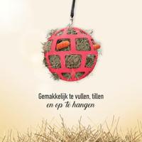 Hay Slowfeeder fun and flex 22 cm Roze Bal - thumbnail