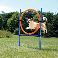 Trixie Fun Agility Ring hond - thumbnail