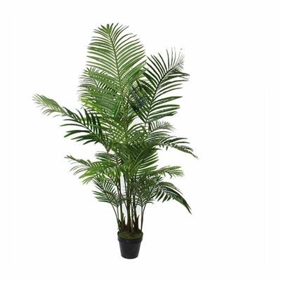 Decoratieve plant Mica Decorations Palmboom 80 x 160 cm
