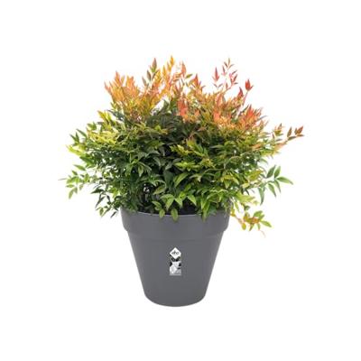Elho Loft Urban Rond Antraciet Ø39cm met wielen - thumbnail