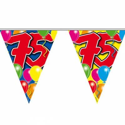 Vlaggenlijn versiering 75 jaar