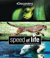Speed of Life - thumbnail