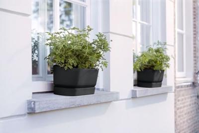 Elho Bak greenville trough long 70cm Zwart Elho Bak greenville trough long 70cm Zwart