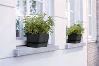 Elho greenville trough long 50 living black - thumbnail