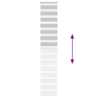 VidaXL Zebra rolgordijn 45x230 cm stofbreedte 40,9 cm lichtgrijs VidaXL Zebra rolgordijn 45x230 cm stofbreedte 40,9 cm lichtgrijs