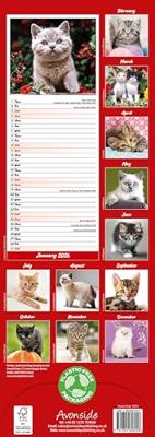 Kittens Kalender 2026 Slimline