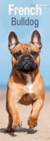 Franse Bulldog Kalender 2026 Slimline - thumbnail