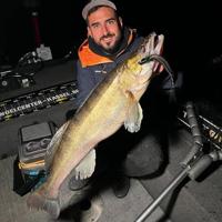 Monkey Lures Stalking Lui 25cm 1st. Carpe Nostra - thumbnail