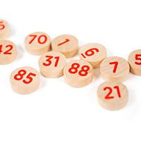 Bigjigs houten bingospel - thumbnail