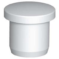 OBO Bettermann 2029523 107VS VM 20 PA Afsluitdop Kunststof 25 stuk(s) - thumbnail