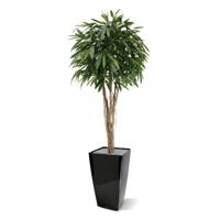 Longifolia ball deluxe kunstboom 180cm - thumbnail