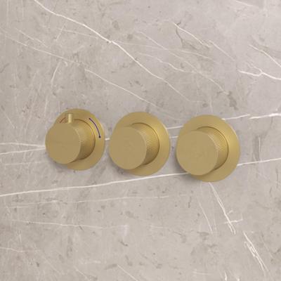 Thermostatische Inbouwkraan Best Design High End Mat Goud