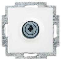 ABB 2CKA002018A1514 Apparaatinzetstuk IP20 Wit, Zuiver wit (RAL 9010) - thumbnail