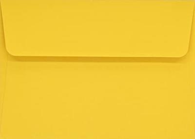 Sunflower Dreams Notitiekaarten 14 stuks Sunflower Dreams Notitiekaarten 14 stuks