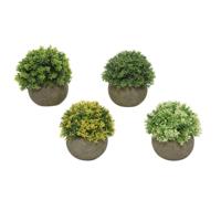 Decoratieve plant Everlands Ø 12 cm Bloempot Plastic - thumbnail