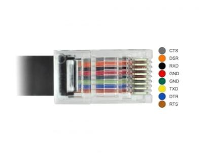 Delock USB 2.0 Adapter [1x USB-C 2.0 stekker - 1x RJ45-stekker] 63912 2 m