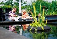 Drijvend planteneiland 25 cm Velda - Velda - thumbnail