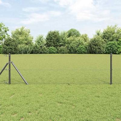 Gelaste draadhek Grijs 0.8 x 50 m
