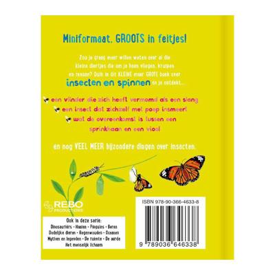 Rebo Publishers Het kleine maar grote boek over? insecten spinnen