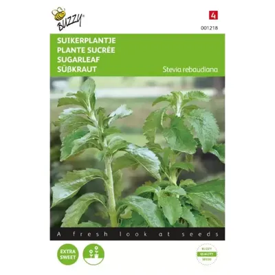 Buzzy® Suikerplantje Stevia Zaden Buzzy® Suikerplantje Stevia Zaden