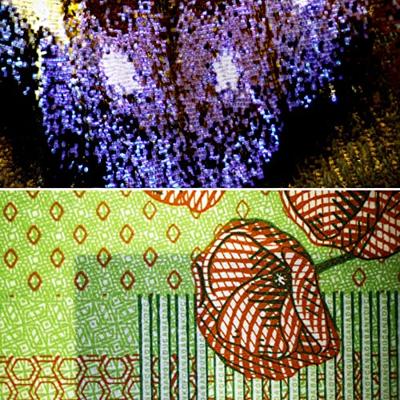 Bresser Science ETD-301 Microscoop Trino 7x - 63x