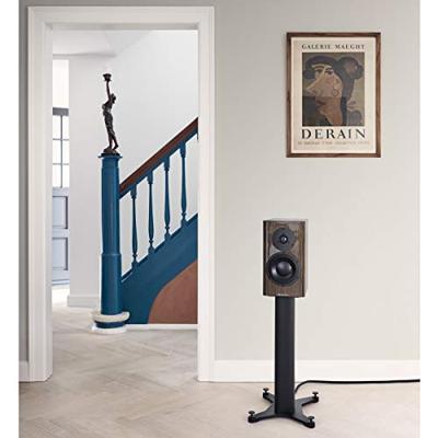 Dynaudio Special Forty monitor speaker Ebony Wave