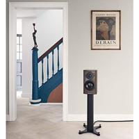 Dynaudio Special Forty monitor speaker Ebony Wave - thumbnail
