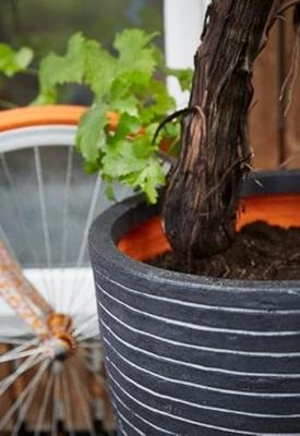 Capi bloempot nature row elegant laag 36x47 cm antraciet krwz782