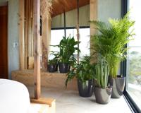 Pot - ARTEVASI - SAN REMO - 36 br - Donkerrood - thumbnail