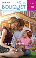 Een geweldige kans / Idyllisch weekend - Shannon Waverly, Liz Fielding - ebook - thumbnail