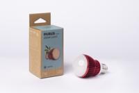 Venso Kweeklamp 113 mm 230 V E27 7 W Neutraalwit Peer 1 stuk(s) - thumbnail