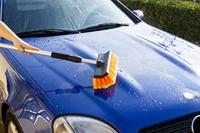 Borstel Motorkit MOT10300 Telescopisch - thumbnail