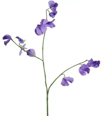 Countryfield kunsttak lathyrus 77cm paars