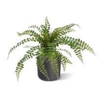 Rotundifolia Varen kunstplant 55cm - thumbnail