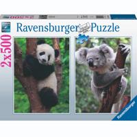 Ravensburger Puzzel Panda En Koala 2 X 500 Stukjes - thumbnail