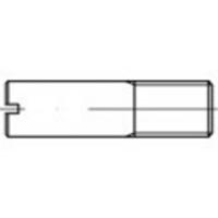 TOOLCRAFT TO-9982212 Bouten (l) 65 mm Staal Galvanisch verzinkt 10 stuk(s) - thumbnail