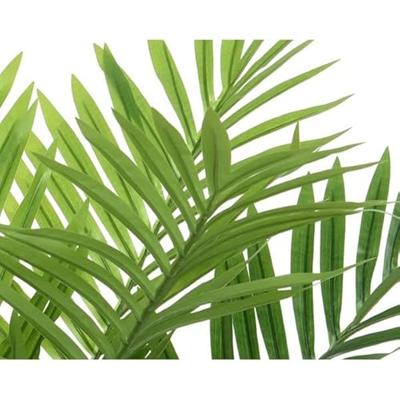 Palmboom in pot 61x61x73cm