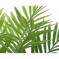 Palmboom in pot 61x61x73cm - thumbnail