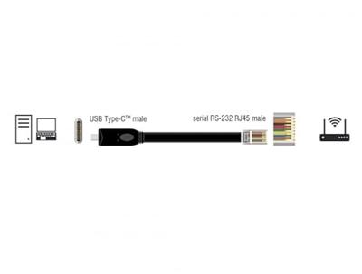 Delock USB 2.0 Adapter [1x USB-C 2.0 stekker - 1x RJ45-stekker] 63912 2 m