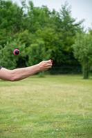 Dog Comets Blazar Jet Roze - thumbnail