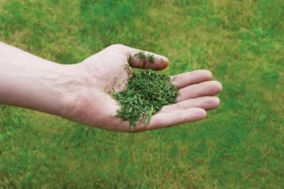 Einhell GE-CM 36/43 Li M Accu-grasmaaier Accu Incl. accu, Incl. oplader, T-greep, Mulchfunctie, In hoogte verstelbare greep met klapfunctie, Uitwerp aan