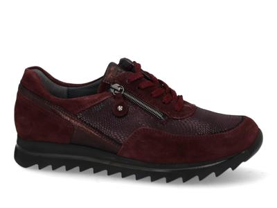 Waldlaufer Haiba 923019 409 020 bordo bordo maat 42