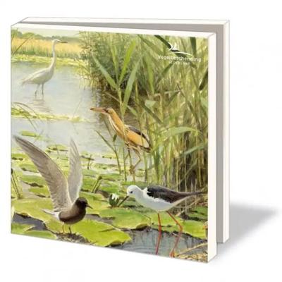 Kaartenmapje met env, vierkant: Vogelbescherming Nederland, Elwin van der Kolk Kaartenmapje met env, vierkant: Vogelbescherming Nederland, Elwin van der Kolk
