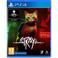 Stray - thumbnail