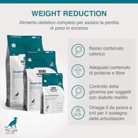 Specific Frd Weight Reduction 6kg - thumbnail