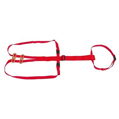 Lijfbieder bandage prolapsbandage voor schapen