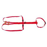 Lijfbieder bandage prolapsbandage voor schapen - thumbnail